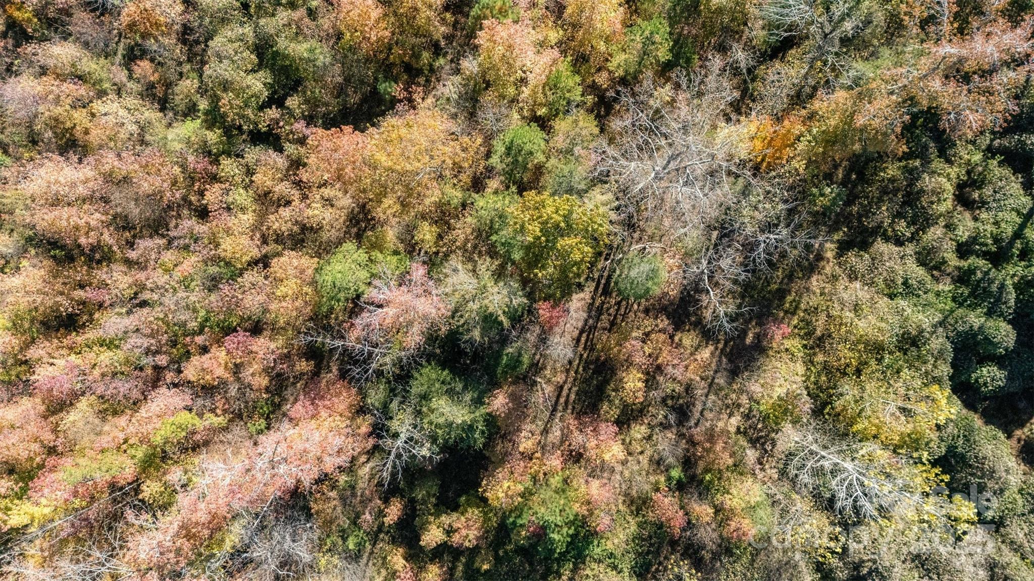 13562 Smithford Road Hickory Grove, SC 29717 - Photo 2 of 20 a view of a field