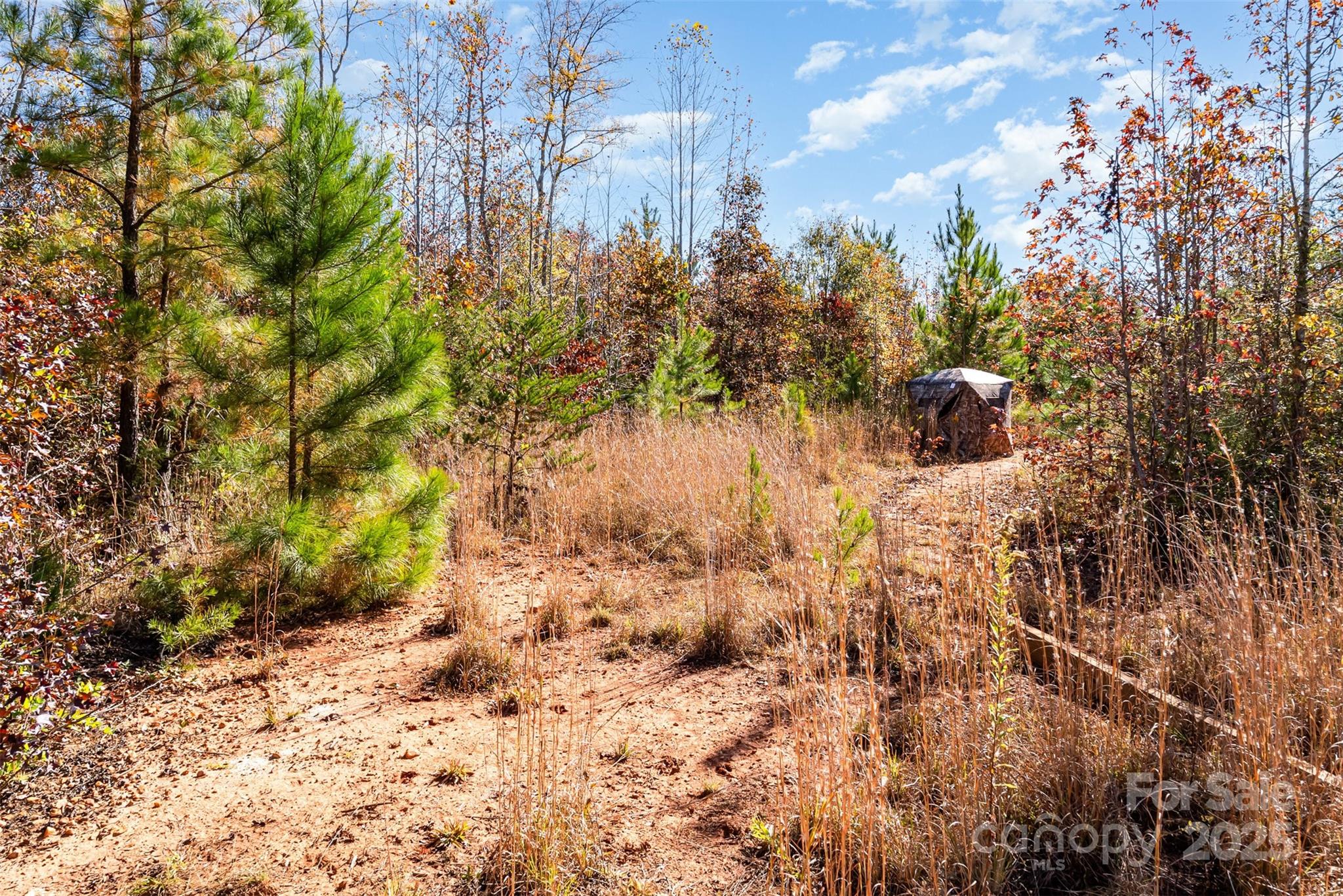13562 Smithford Road Hickory Grove, SC 29717 - Photo 4 of 20 a view of a yard with trees