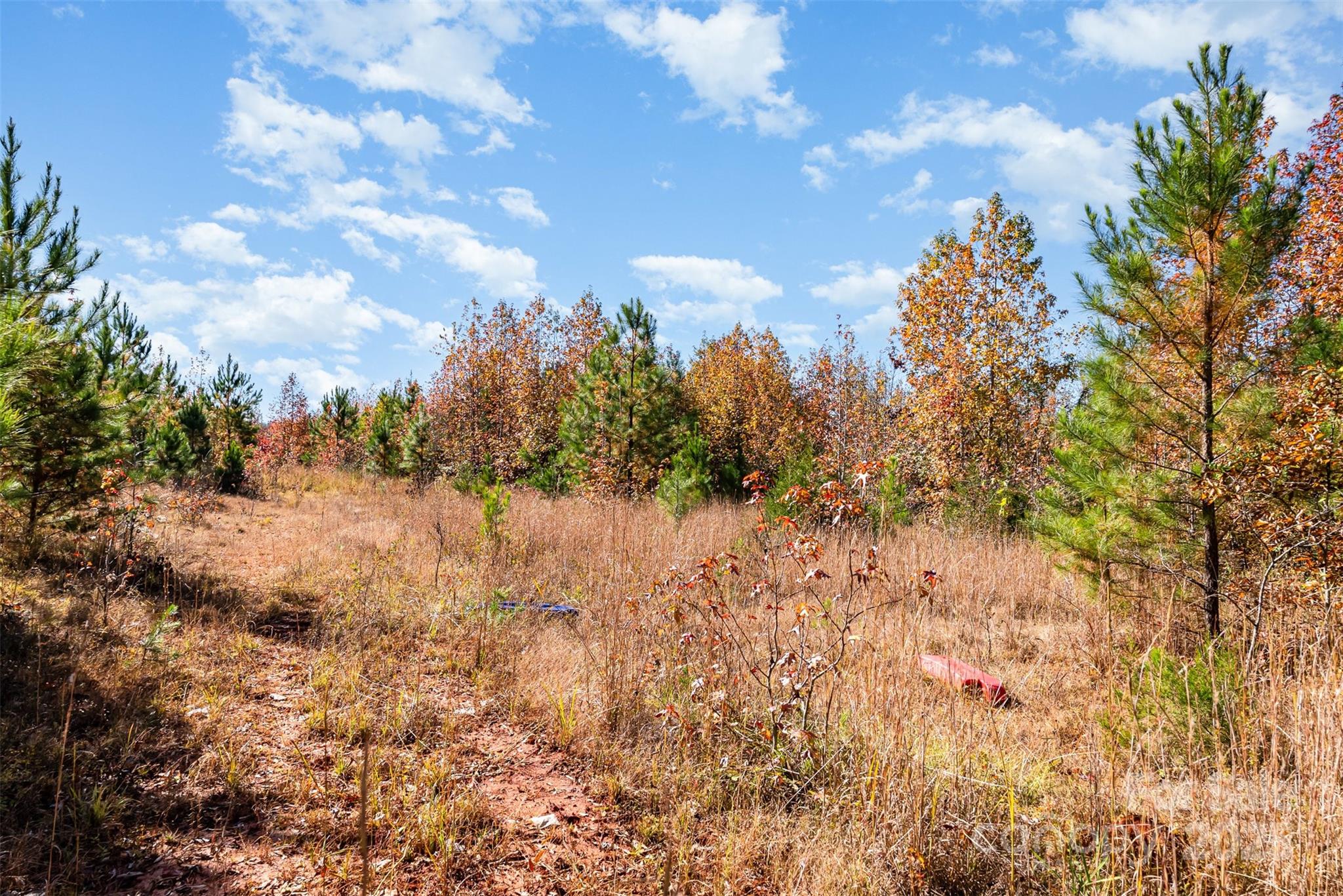 13562 Smithford Road Hickory Grove, SC 29717 - Photo 7 of 20 a view of a bunch of trees