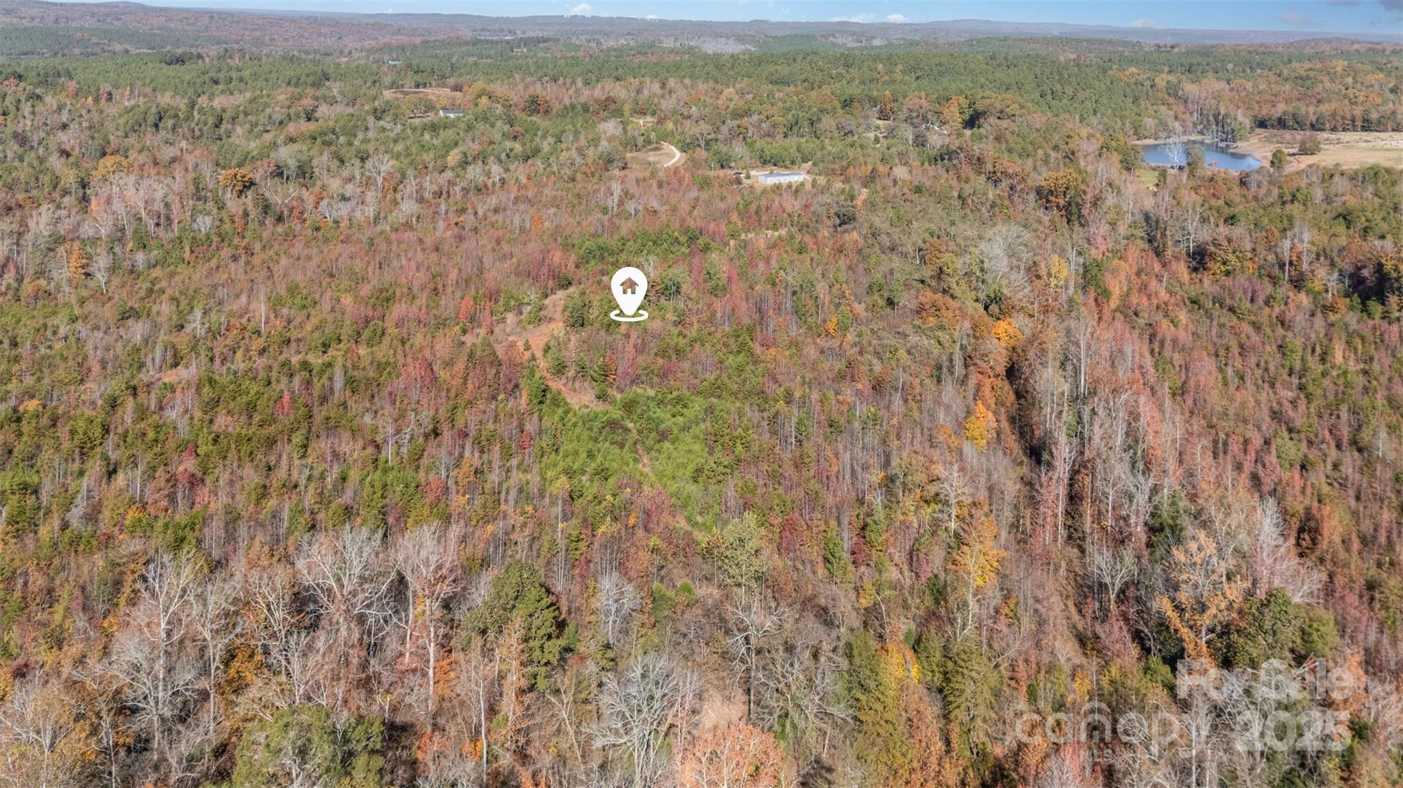 13562 Smithford Road Hickory Grove, SC 29717 - Photo 9 of 20 a view of a city with lush green forest