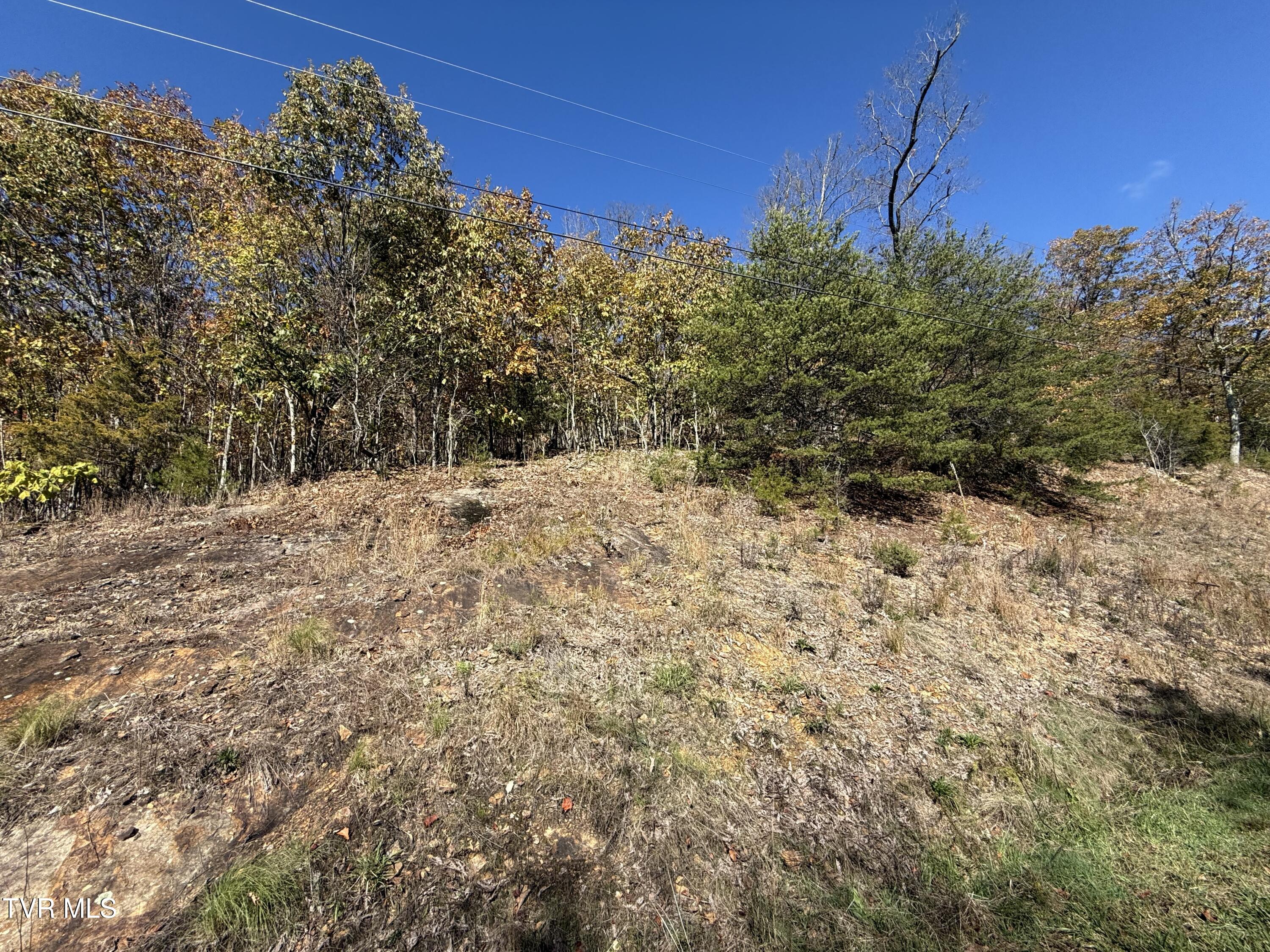 Tbd Chimney Rock Road, Unit 618 New Tazewell, TN 37825 - Photo 2 of 8 NEW TAZEWELL LOT 2