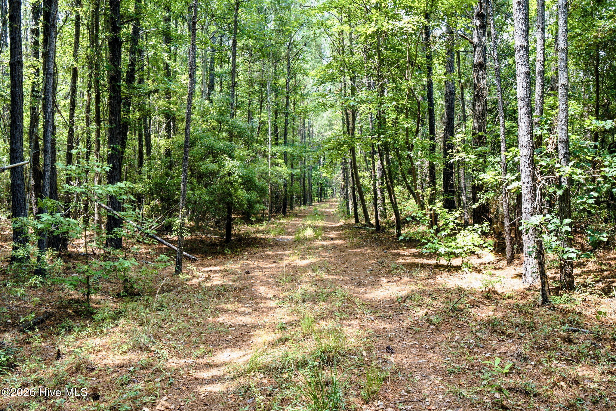 422 Benton Road Southeast Bolivia, NC 28422 - Photo 5 of 23