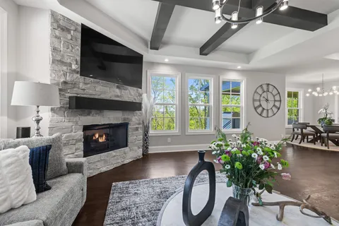 a living room with furniture a fireplace and a potted plant