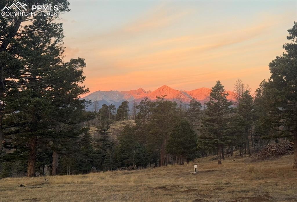 450 Schierl Road Fort Garland, CO 81133 - Photo 2 of 40 a view of a mountain from a yard