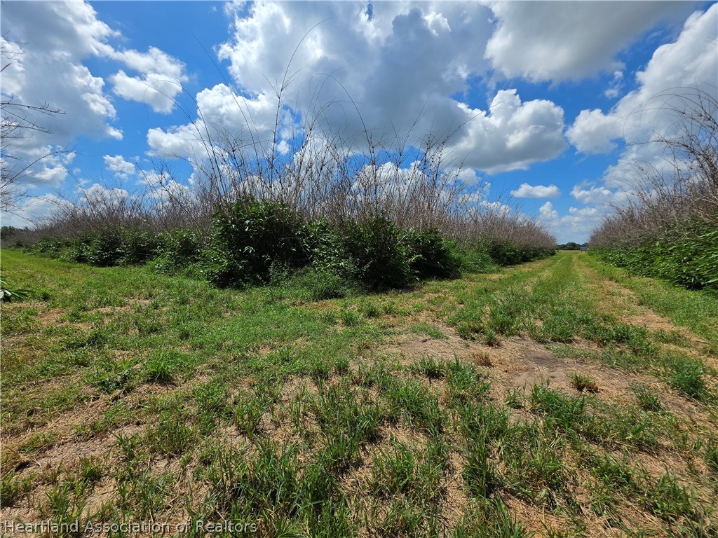 0 West St Road Wauchula, FL 33873 - Photo 15 of 24