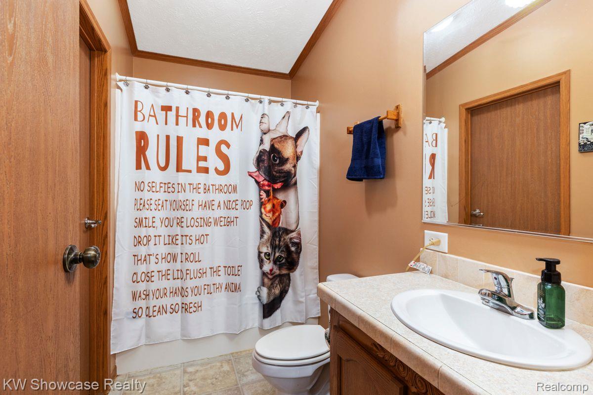 4155 North Neff Road Edmore, MI 48829 - Photo 28 of 52 Gallery Image 28