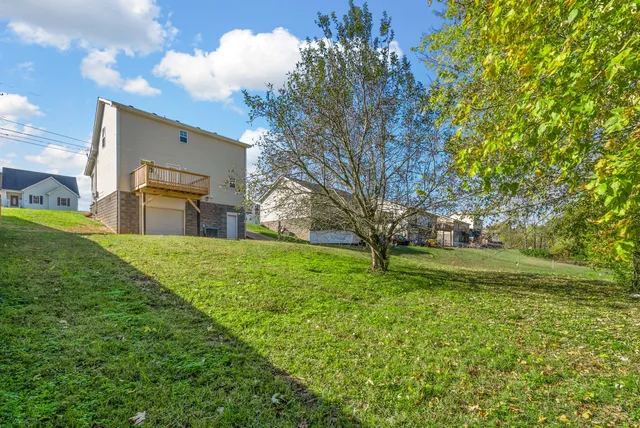 a view of a backyard