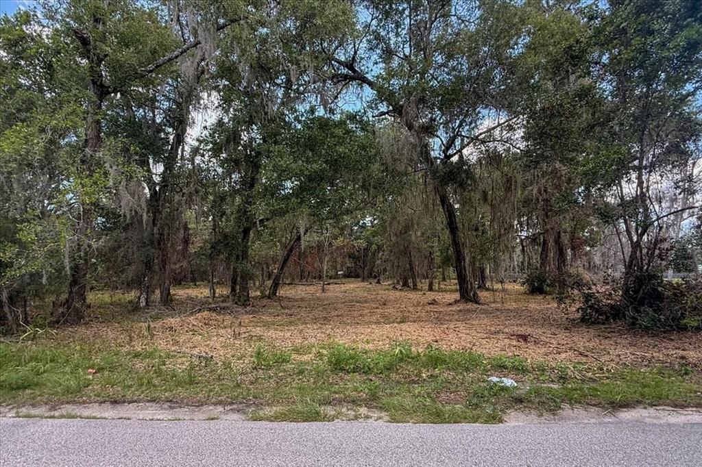 2800 Lundy Road Palatka, FL 32177 - Photo 2 of 17