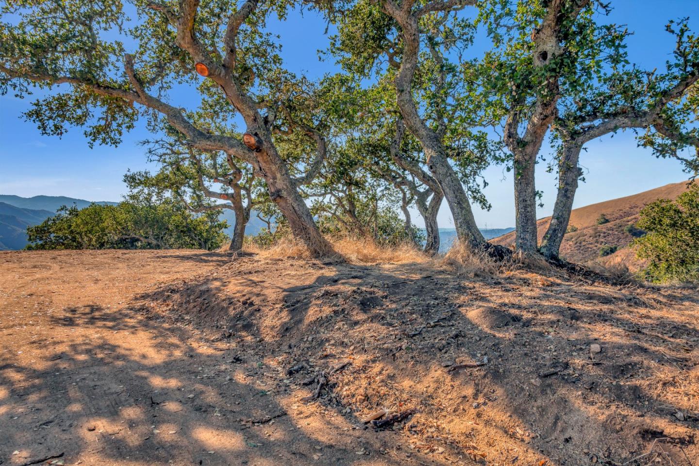 Weathertop Weathertop Ranch Carmel Valley, CA 93924 - Photo 17 of 19 a view of outdoor space with trees