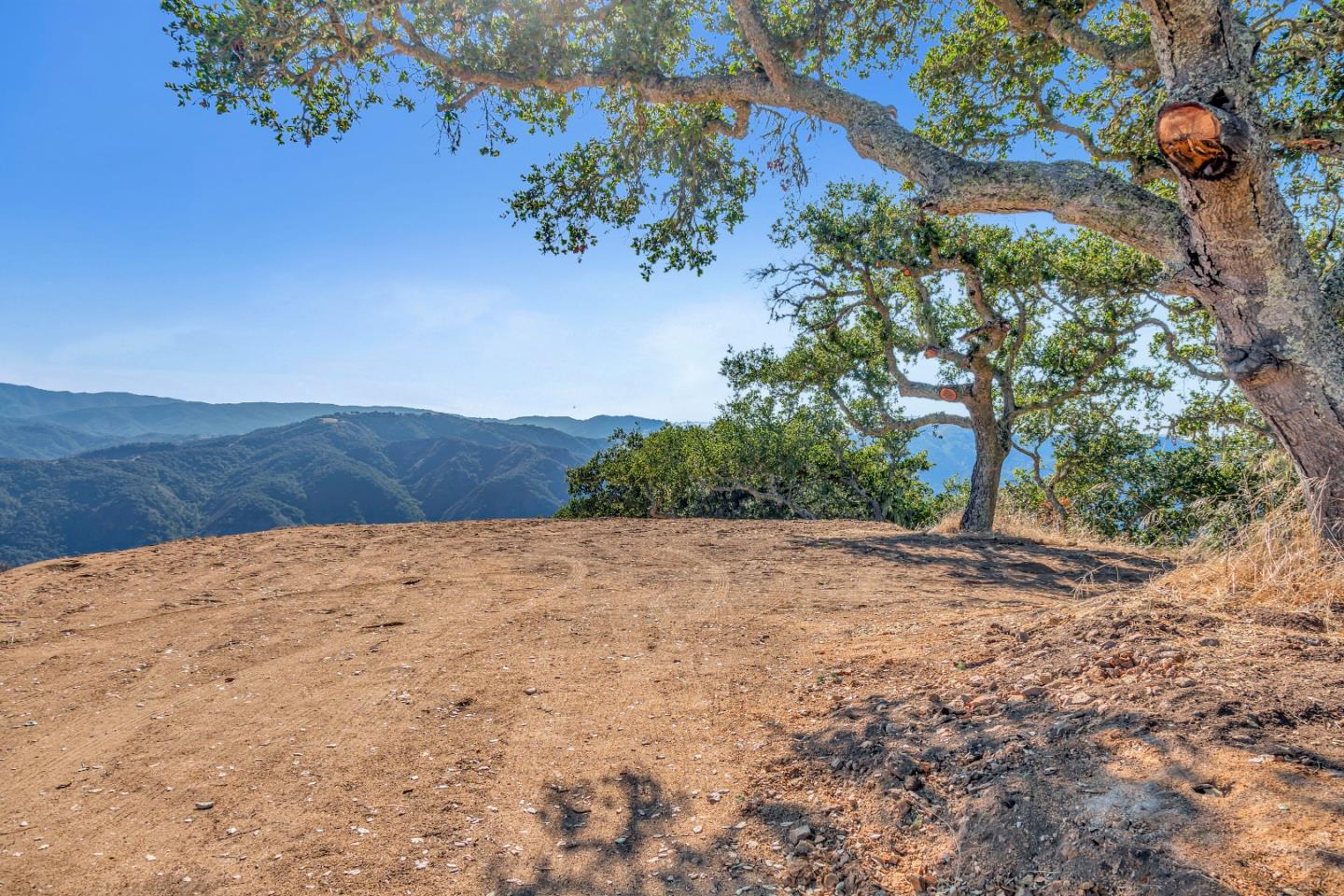 Weathertop Weathertop Ranch Carmel Valley, CA 93924 - Photo 7 of 19 a view of a dry yard with trees