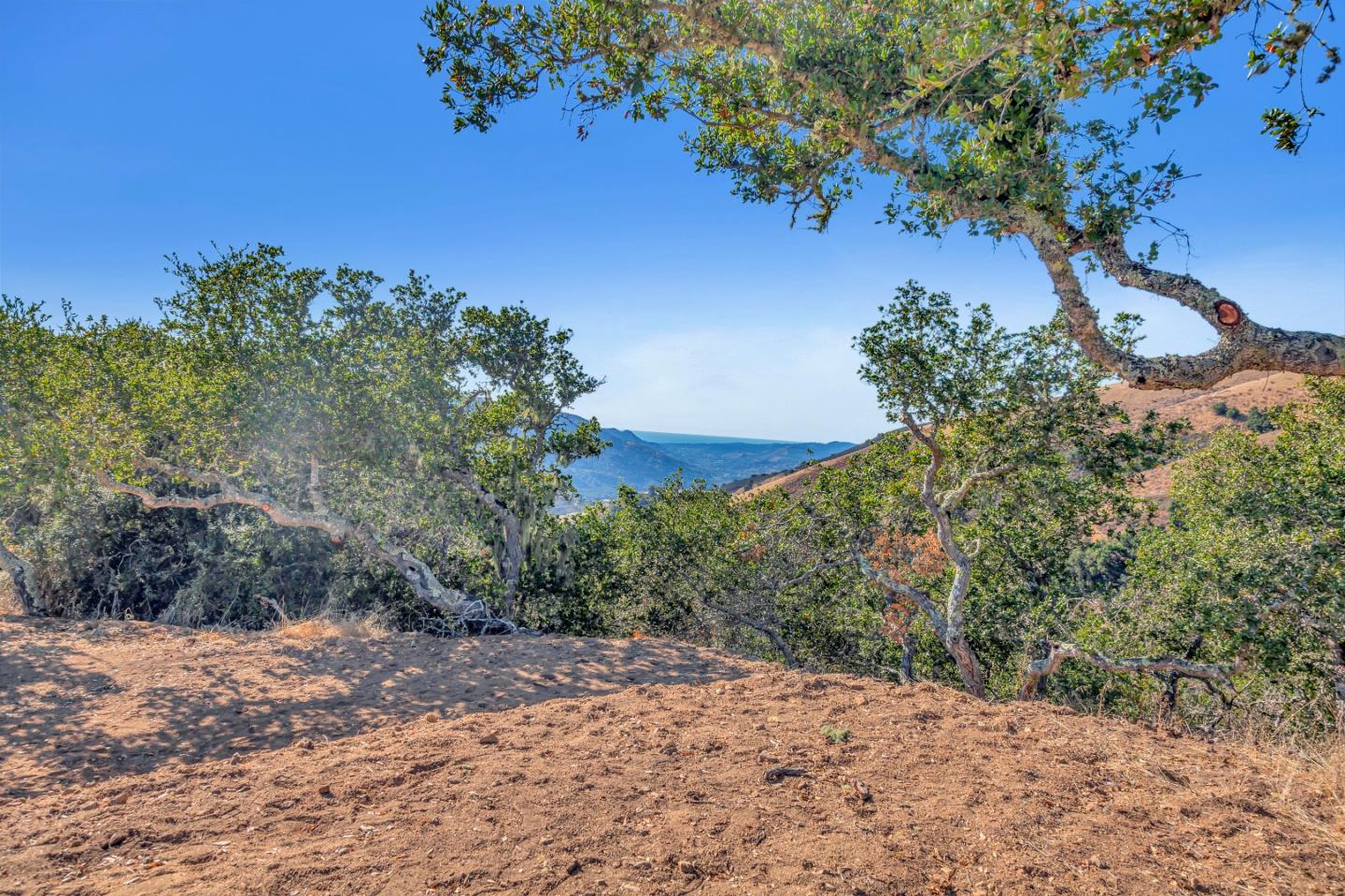 Weathertop Weathertop Ranch Carmel Valley, CA 93924 - Photo 9 of 19 a view of a yard with a tree