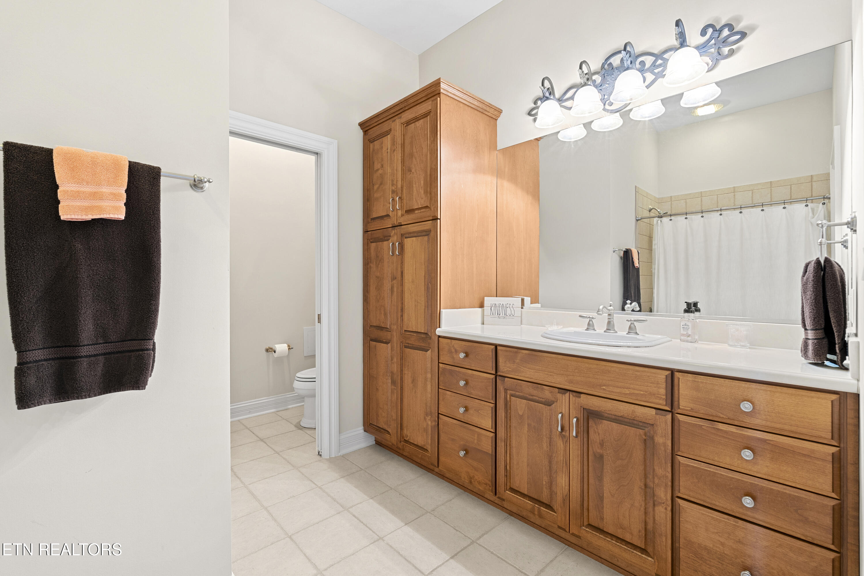 1500 Rarity Bay Parkway Vonore, TN 37885 - Photo 39 of 60 DSC01354