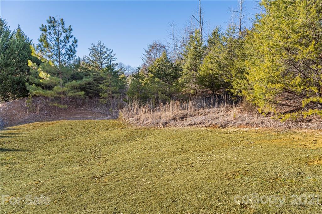 1 & 2 Bridge Lane Tryon, NC 28782 - Photo 14 of 20 Gallery Image 14