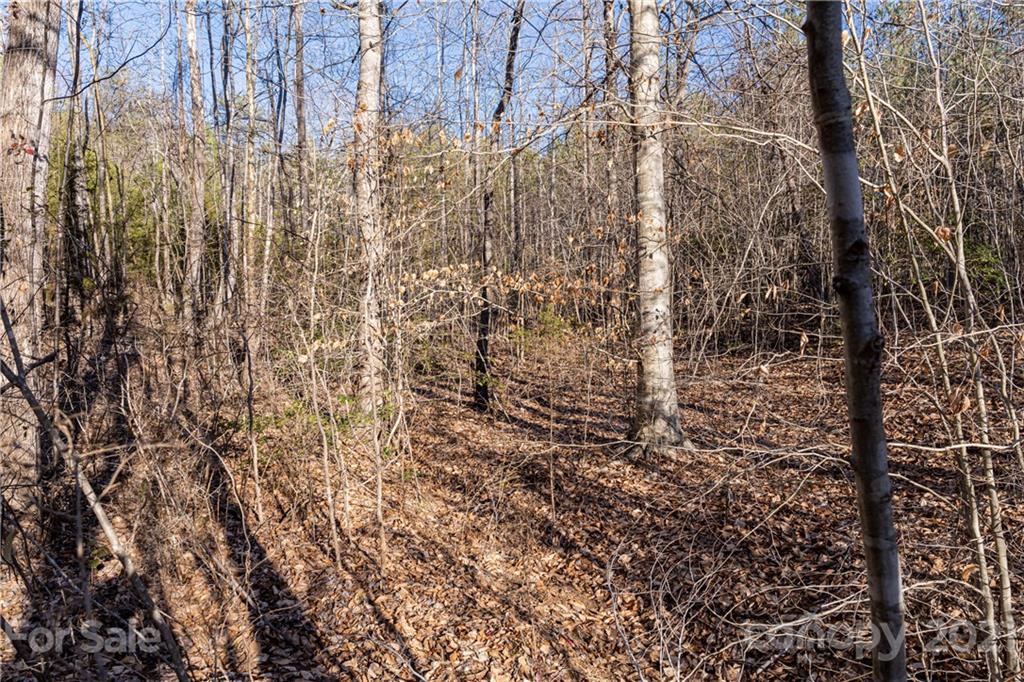 1 & 2 Bridge Lane Tryon, NC 28782 - Photo 16 of 20 Gallery Image 16