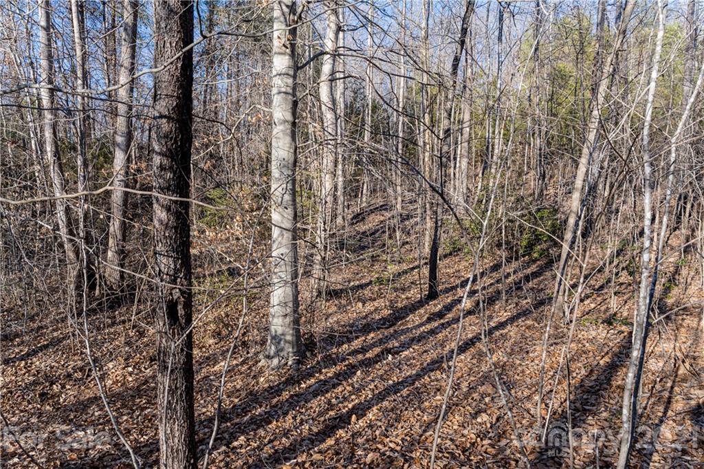 1 & 2 Bridge Lane Tryon, NC 28782 - Photo 18 of 20 Gallery Image 18