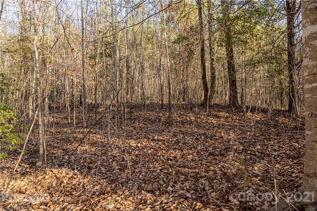1 & 2 Bridge Lane Tryon, NC 28782 - Photo 19 of 20 Gallery Image 19
