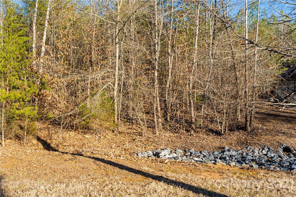 1 & 2 Bridge Lane Tryon, NC 28782 - Photo 20 of 20 Gallery Image 20