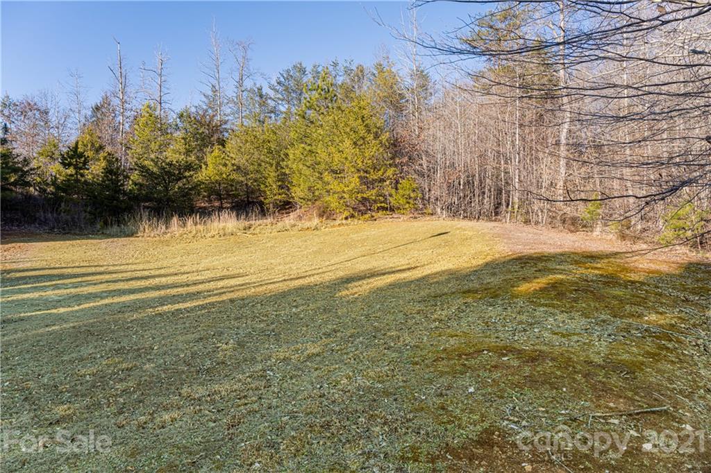 1 & 2 Bridge Lane Tryon, NC 28782 - Photo 4 of 20 Gallery Image 4