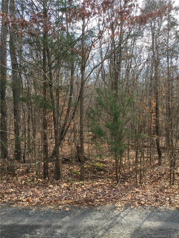 Tbd Covey Trail Road, Unit 19A Indian Trail, NC 28079 - Photo 1 of 1