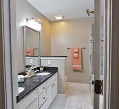 a bathroom with a granite countertop sink and a mirror