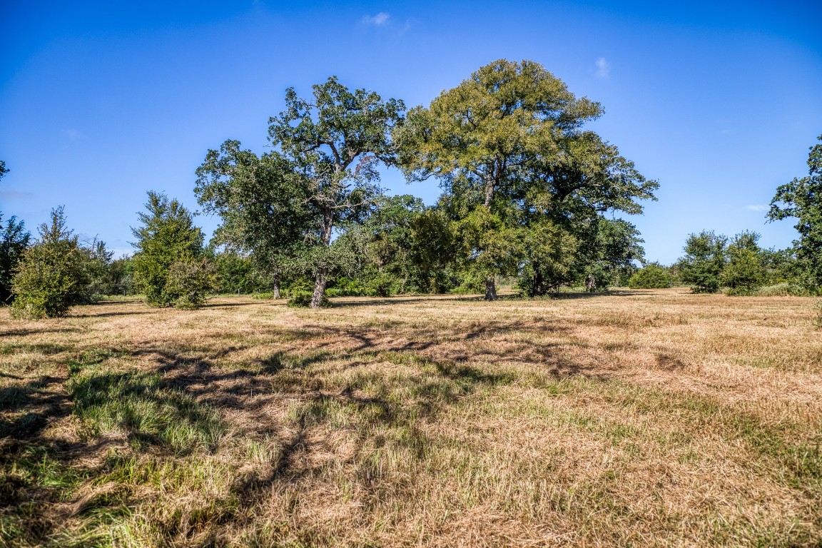 2700 Quarry Road Brenham, TX 77833 - Photo 18 of 35 a view of mountain view with yard