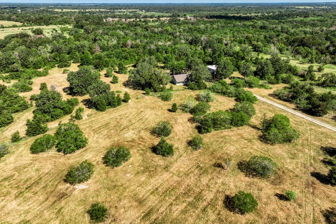 2700 Quarry Road Brenham, TX 77833 - Photo 20 of 35 a view of a yard with plants