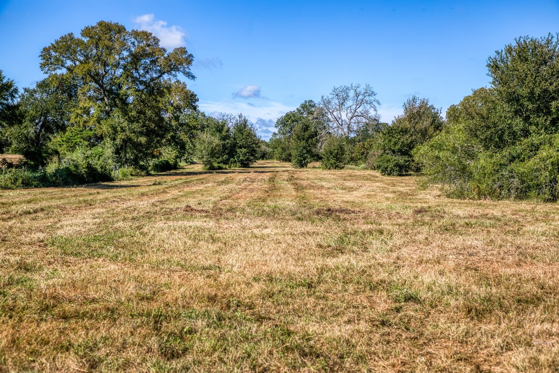 2700 Quarry Road Brenham, TX 77833 - Photo 21 of 35 a view of a yard with a tree