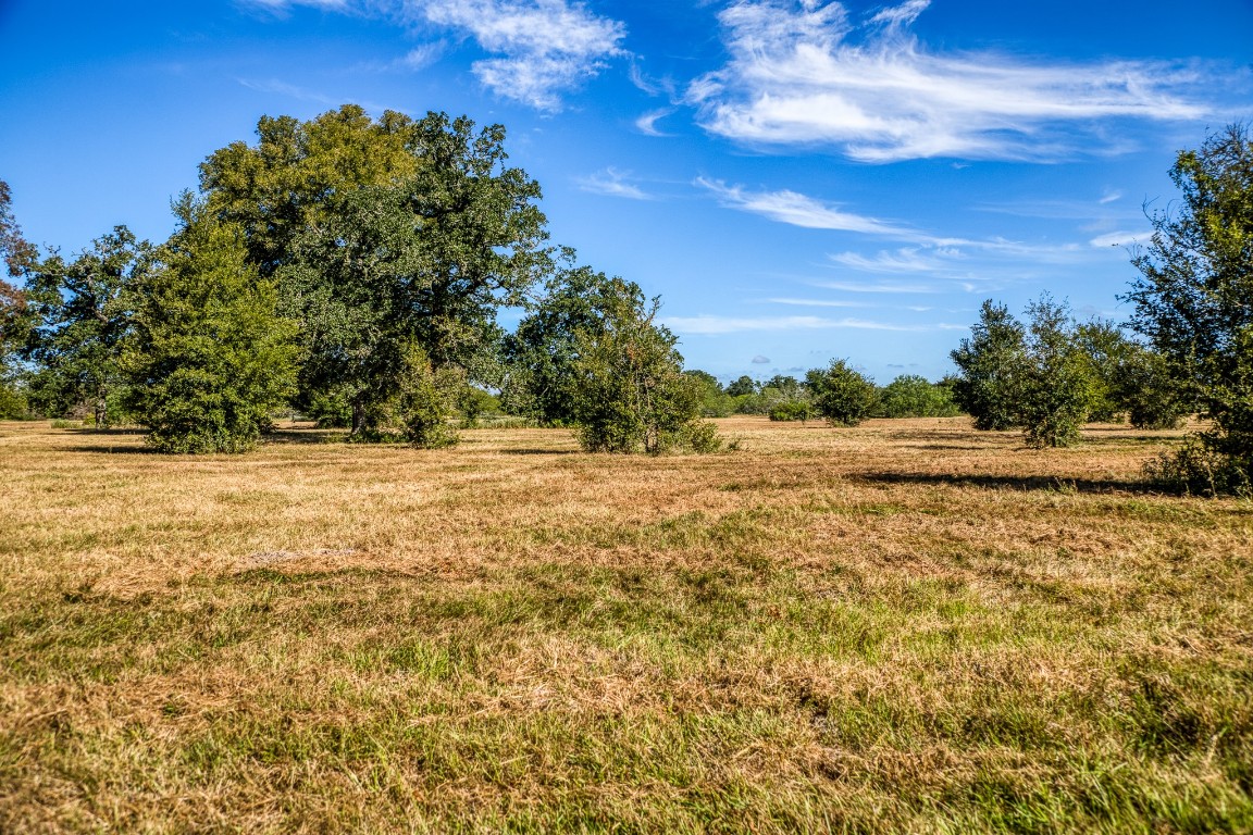 2700 Quarry Road Brenham, TX 77833 - Photo 22 of 35 a view of yard with trees