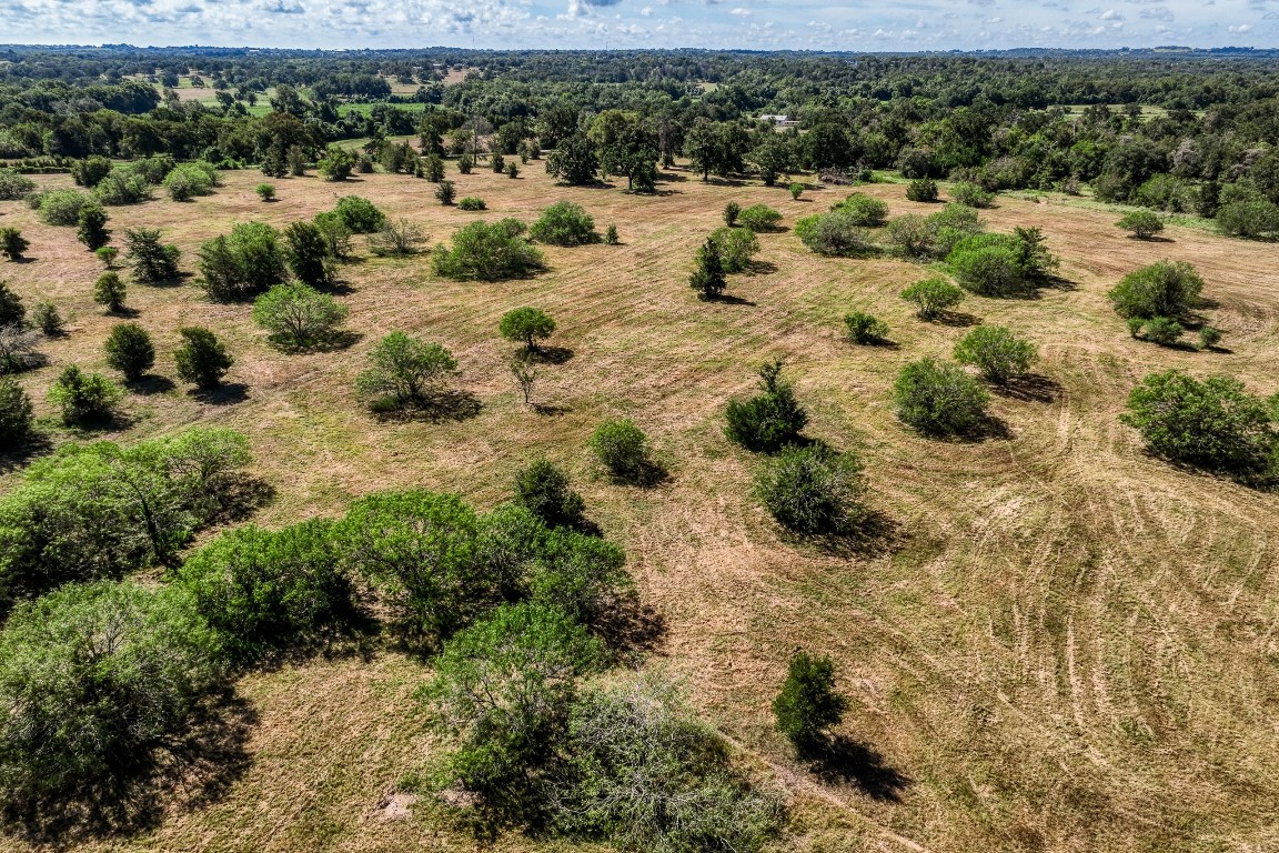 2700 Quarry Road Brenham, TX 77833 - Photo 28 of 35 a view of a yard with a wooden house