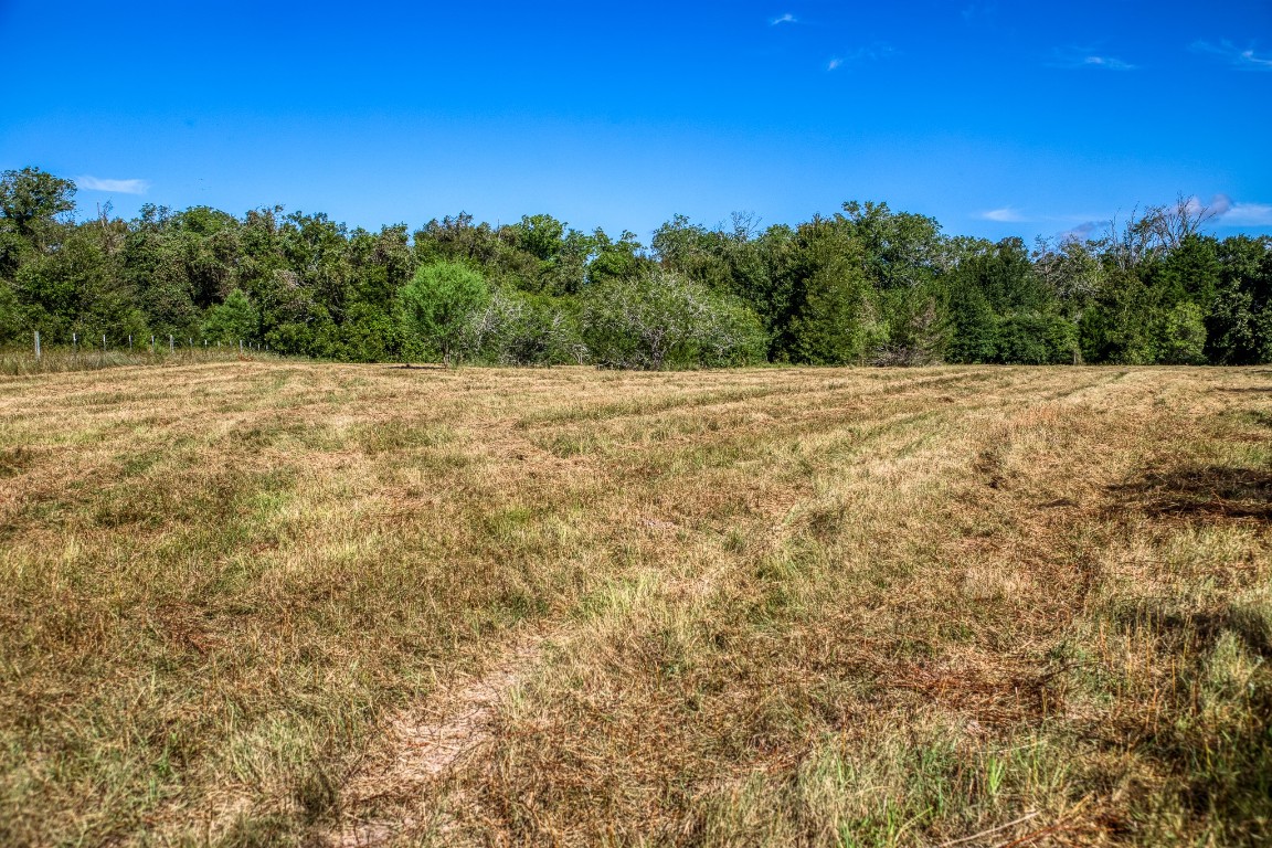 2700 Quarry Road Brenham, TX 77833 - Photo 29 of 35 a view of a yard with a tree