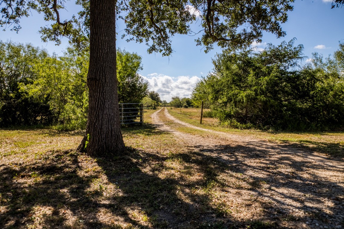 2700 Quarry Road Brenham, TX 77833 - Photo 3 of 35 a view of a yard with plants and trees