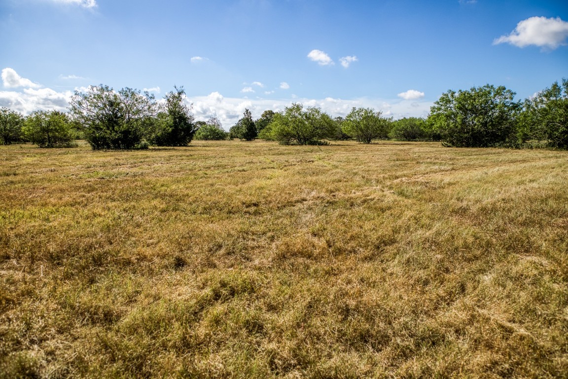 2700 Quarry Road Brenham, TX 77833 - Photo 33 of 35 a view of a big yard with plants and large trees