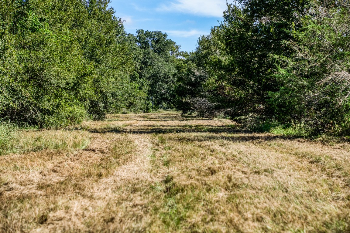 2700 Quarry Road Brenham, TX 77833 - Photo 6 of 35 a view of a yard with wooden fence