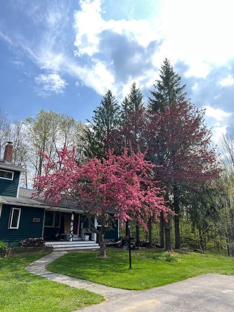317 Cranberry Meadow Road Berwick, ME 03901 - Photo 6 of 53 front trees bloom