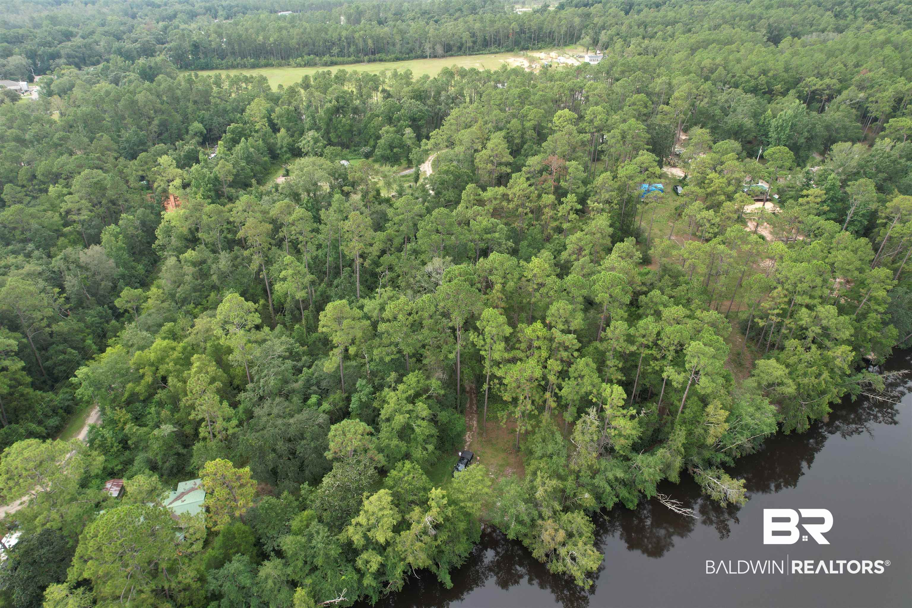 0 Browns Landing Road Seminole, AL 36574 - Photo 5 of 5