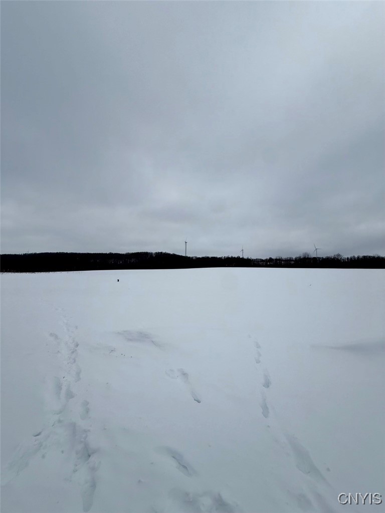 4150 Cole Street Madison, NY 13402 - Photo 23 of 32