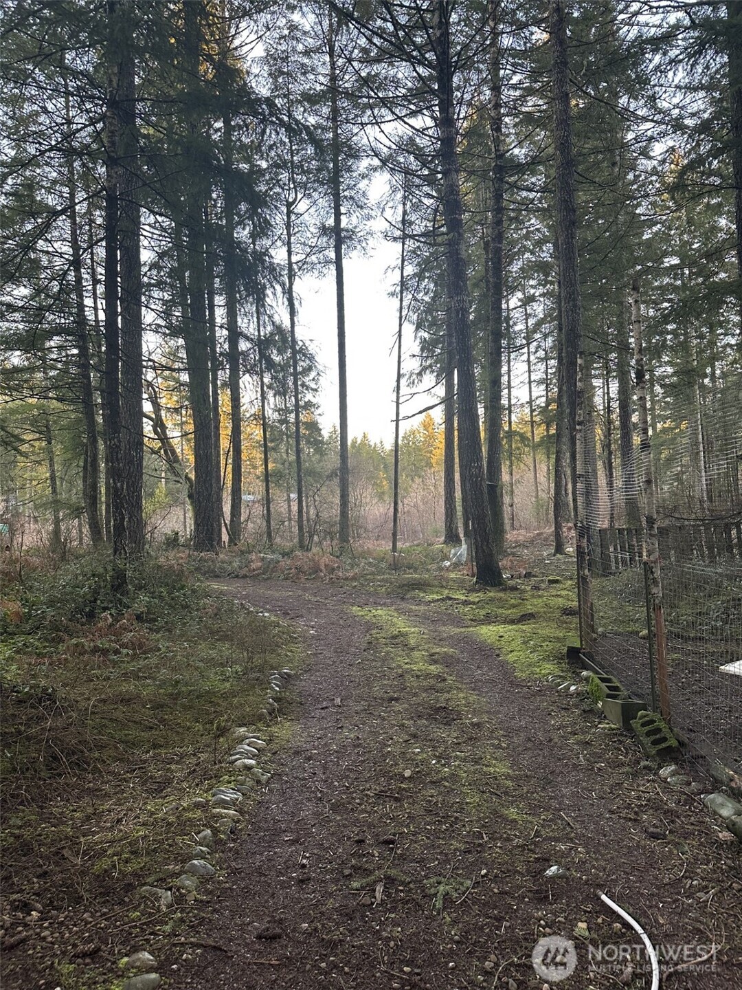 231 West Simpson Road Shelton, WA 98584 - Photo 12 of 16