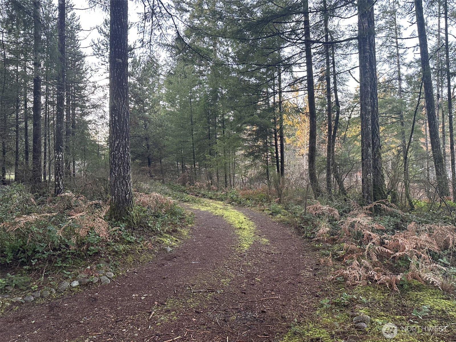 231 West Simpson Road Shelton, WA 98584 - Photo 13 of 16