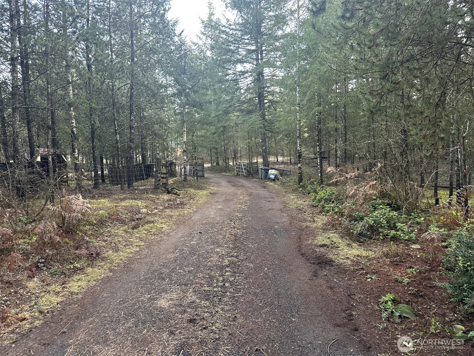 231 West Simpson Road Shelton, WA 98584 - Photo 2 of 16