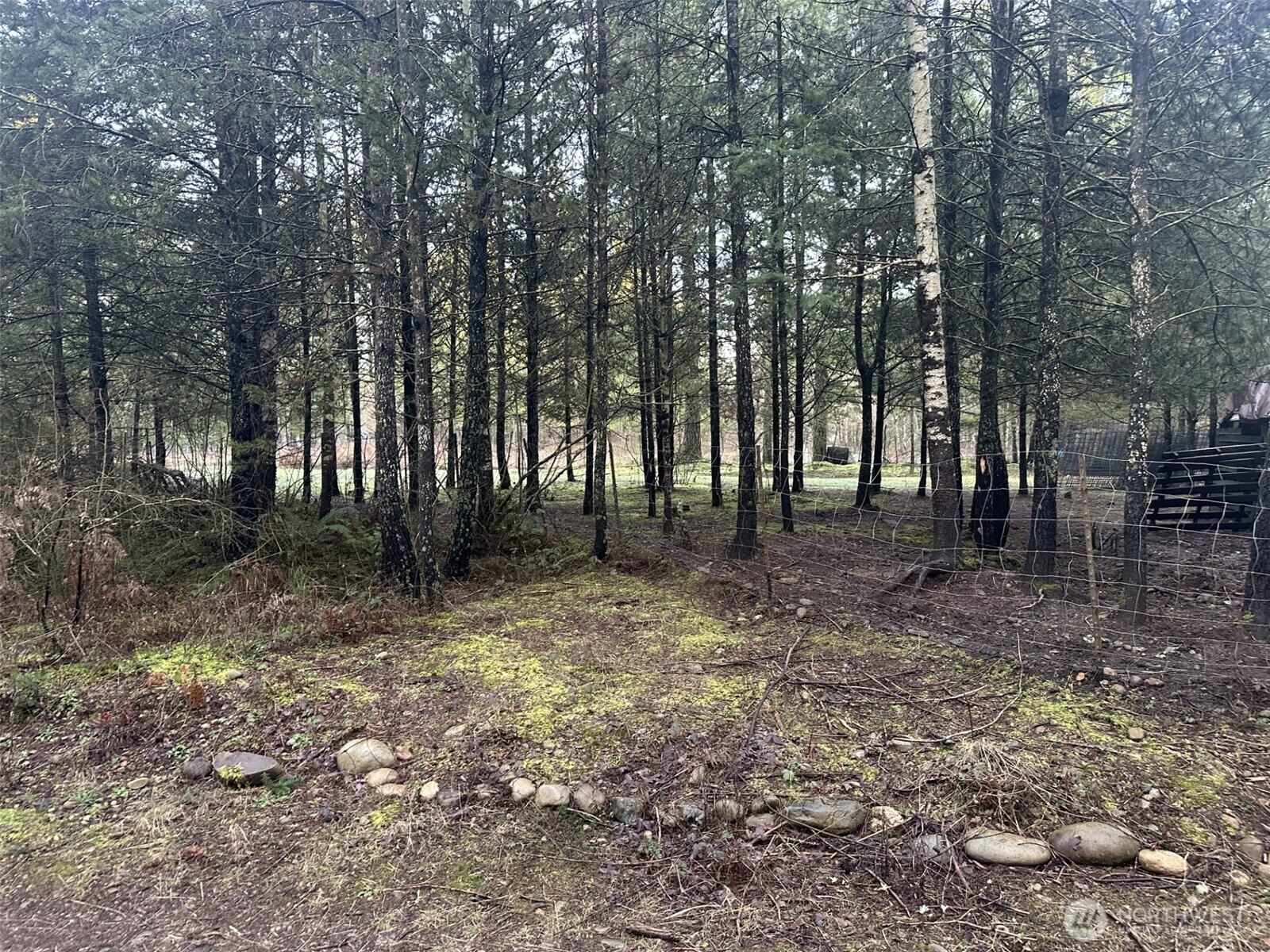 231 West Simpson Road Shelton, WA 98584 - Photo 3 of 16