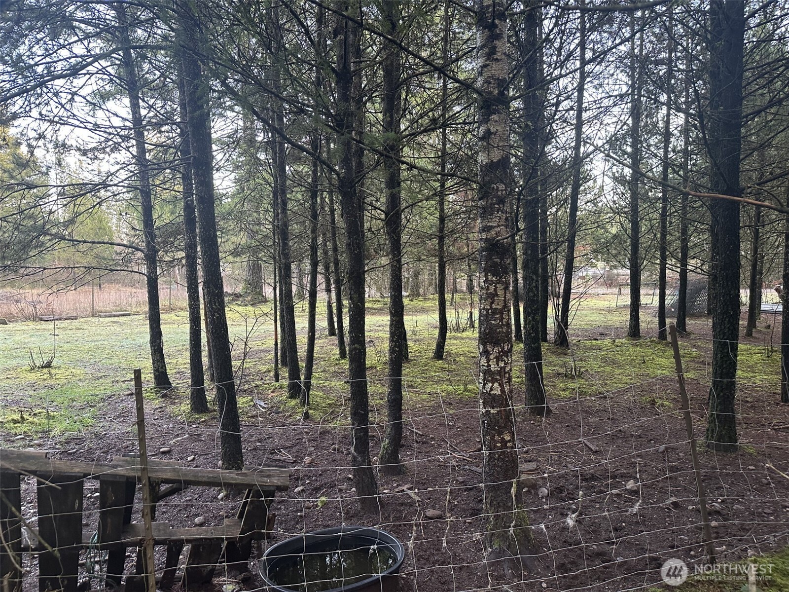 231 West Simpson Road Shelton, WA 98584 - Photo 8 of 16