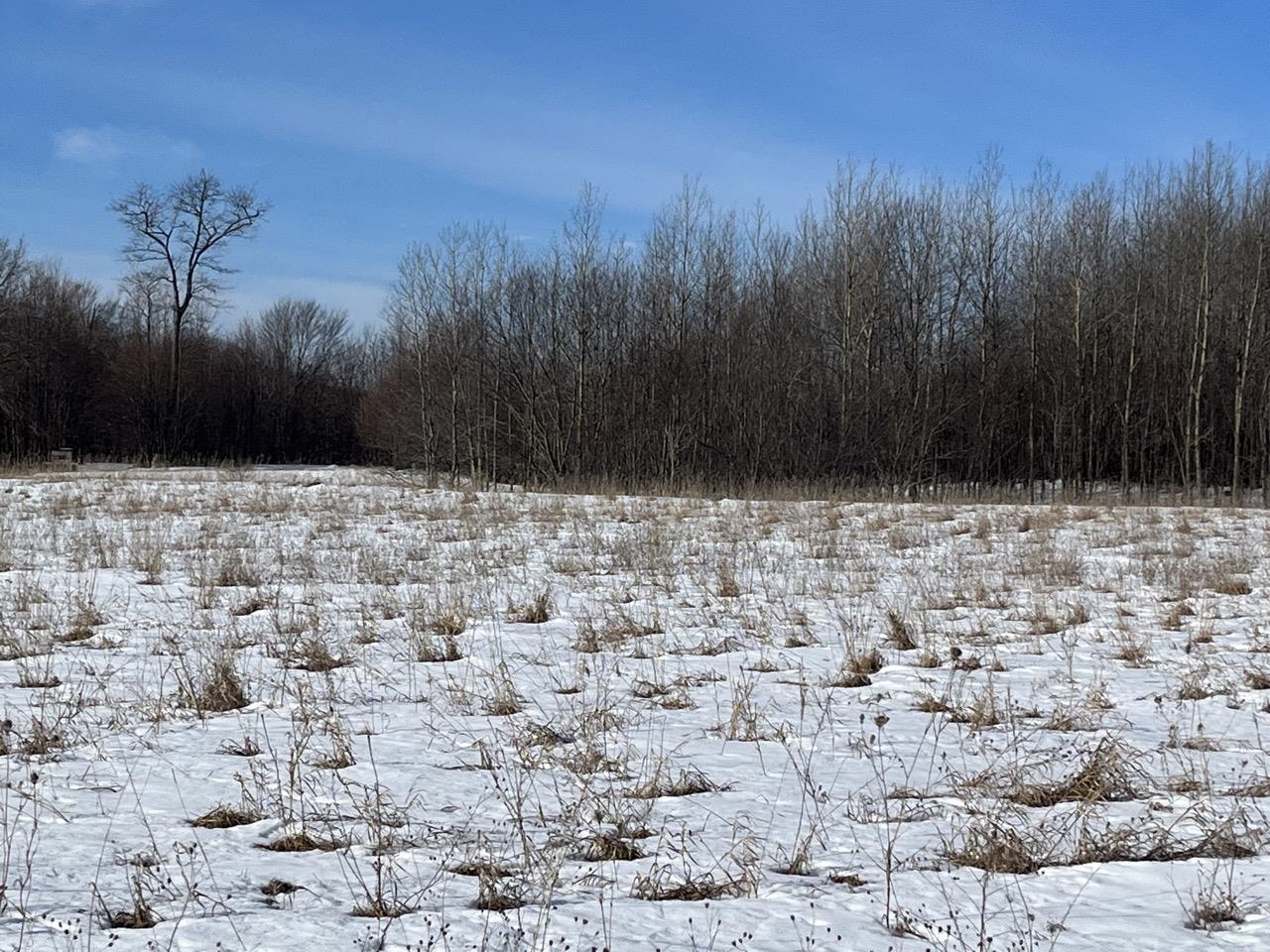 Parcel P Florey's Ranch Road, Unit LOT: P Grawn, MI 49637 - Photo 5 of 8
