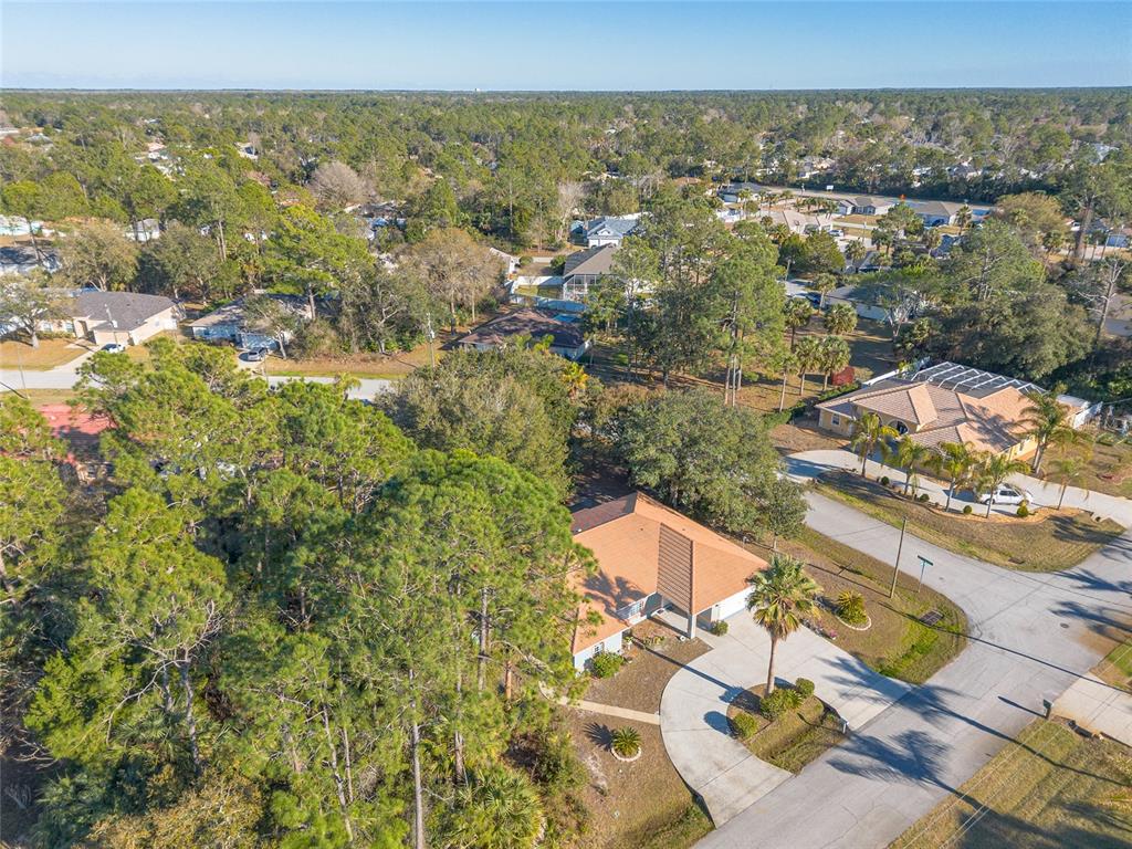 39 Princess Ruth Lane Palm Coast, FL 32164 - Photo 47 of 48 a view of city and mountain