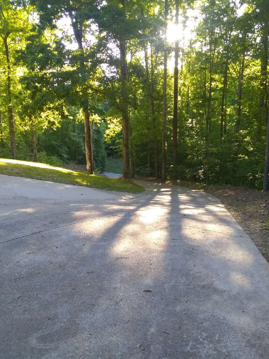 7872 Oscar Green Road Primm Springs, TN 38476 - Photo 29 of 44