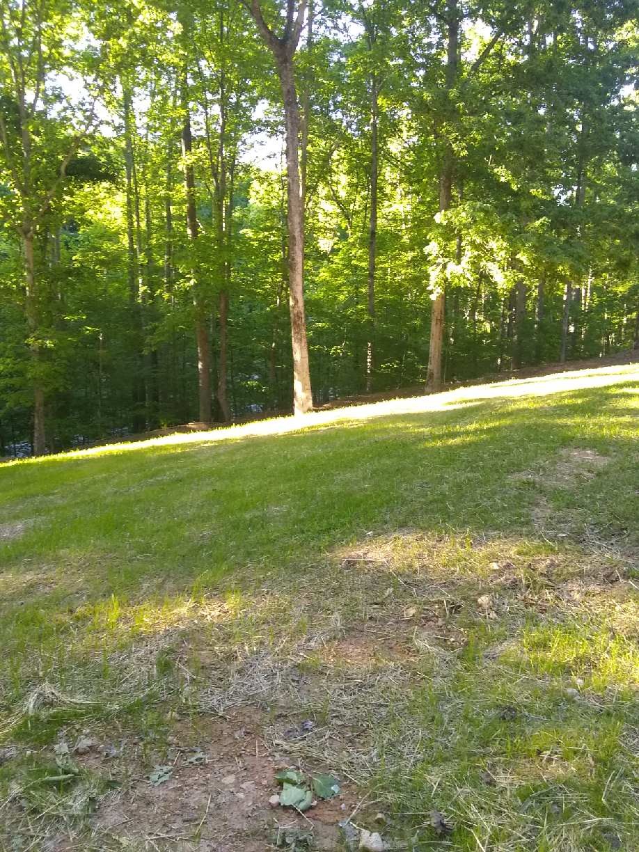 7872 Oscar Green Road Primm Springs, TN 38476 - Photo 6 of 44