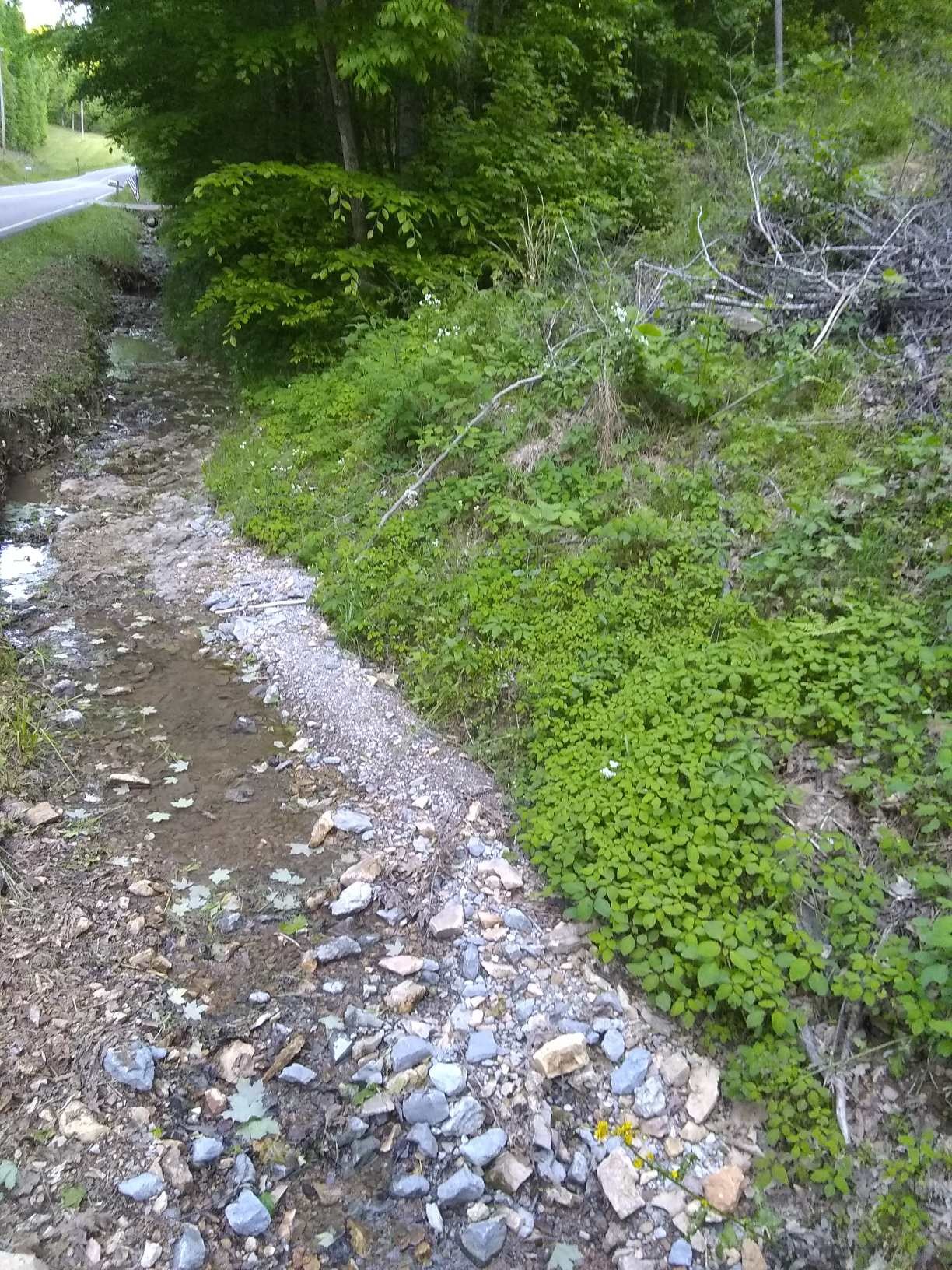 7872 Oscar Green Road Primm Springs, TN 38476 - Photo 7 of 44