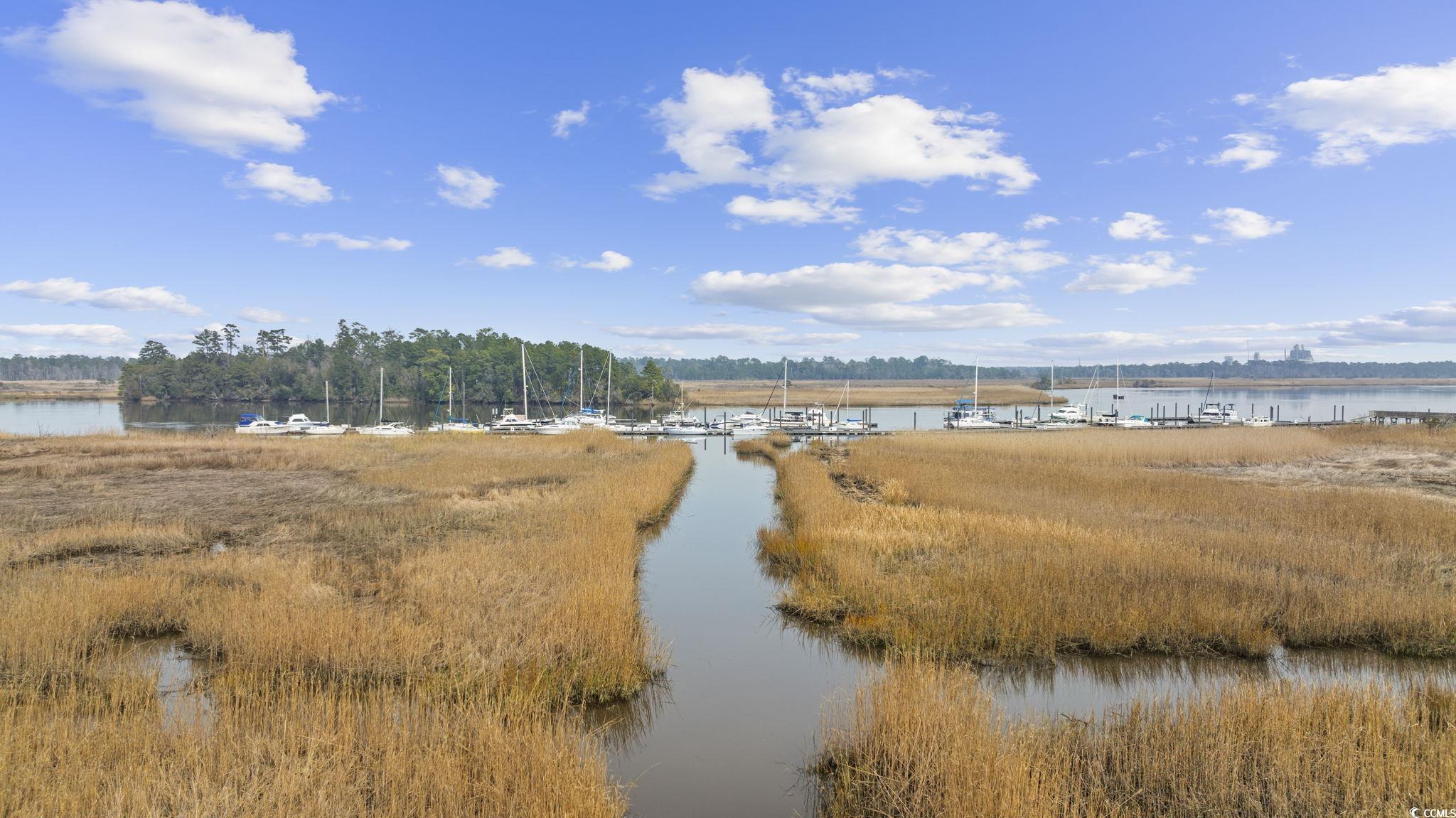 157 Bridge View Road Georgetown, SC 29440 - Photo 36 of 38
