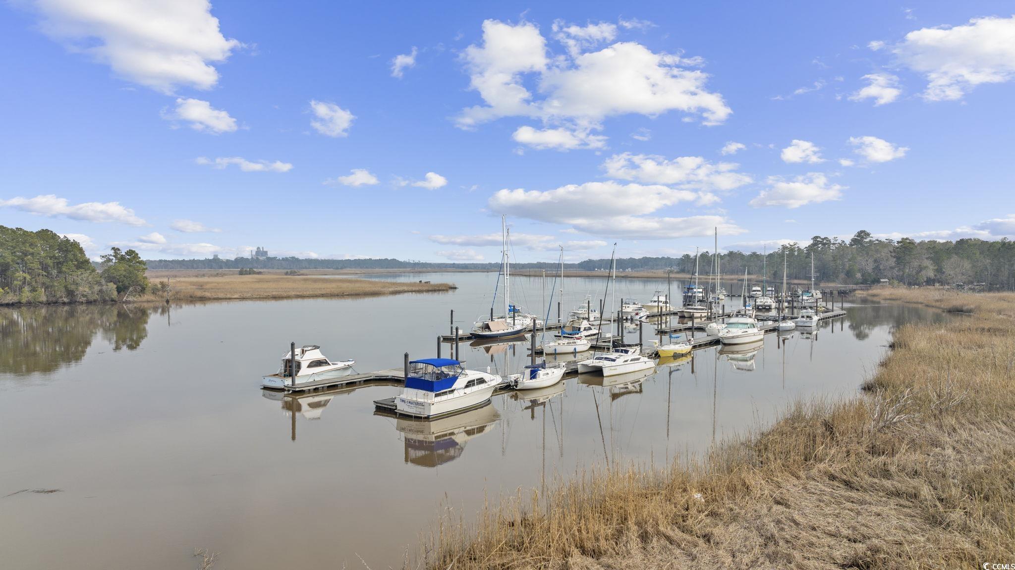 157 Bridge View Road Georgetown, SC 29440 - Photo 37 of 38