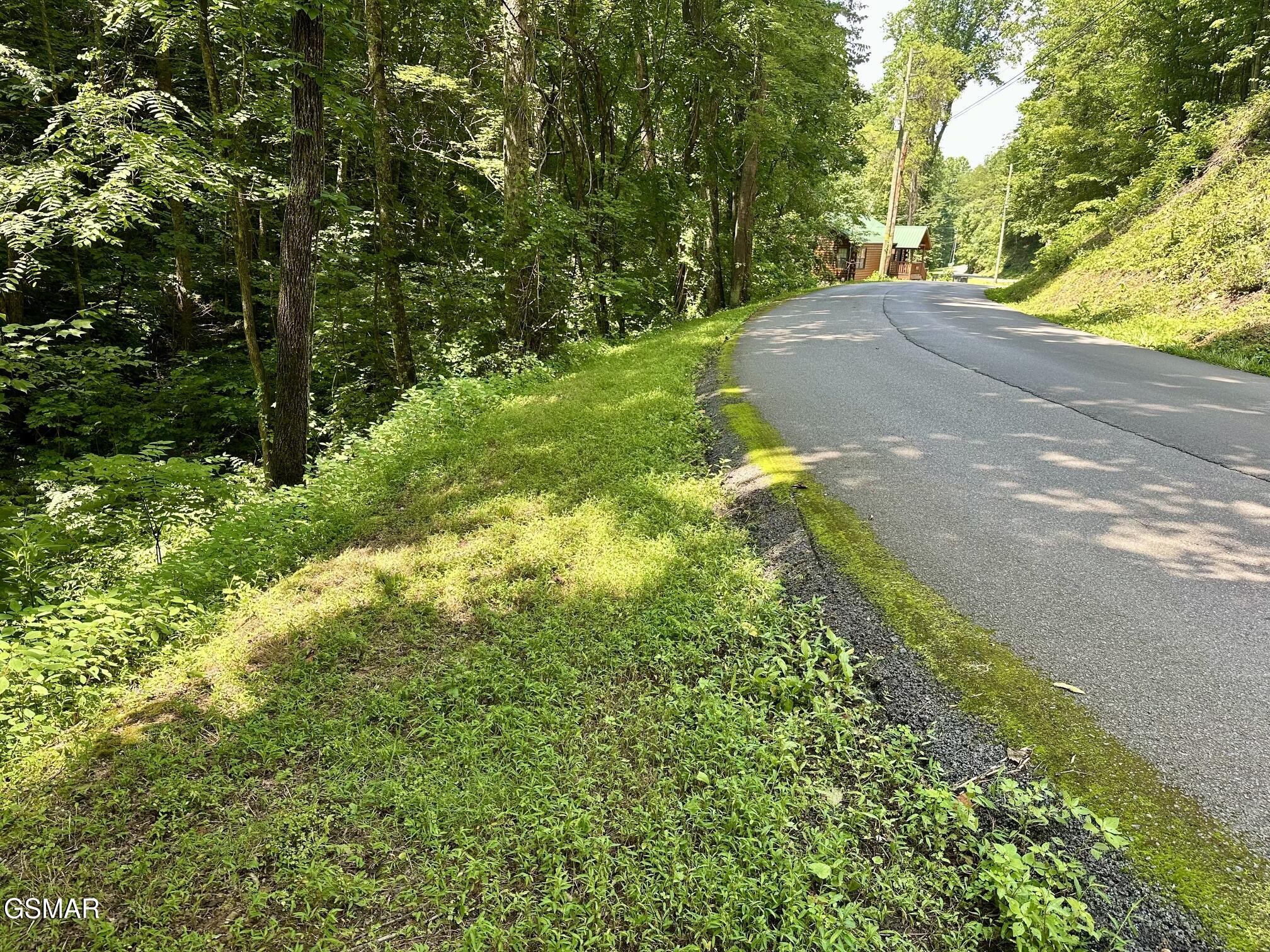 706 School House Gap Road Sevierville, TN 37876 - Photo 4 of 5