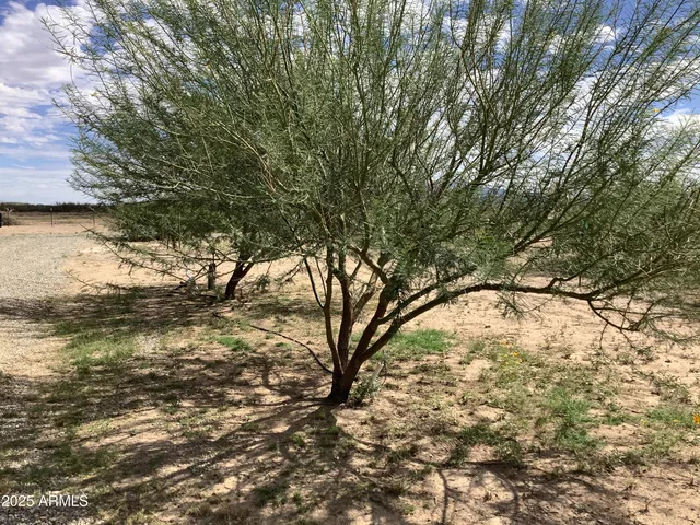 $160,000 | 150 Saddle Drive, Willcox, AZ 85643